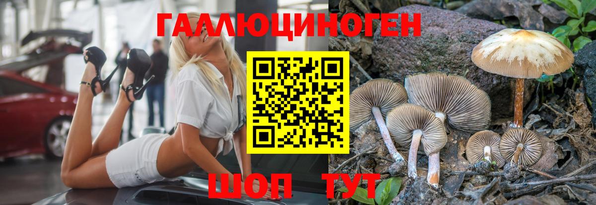 Отрадное  Псилоцибиновые грибы прущие грибы  Галлюциногенные грибы GOLDEN TEACHER  Вход с VPN 