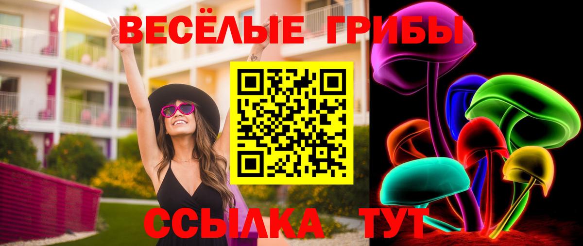 Галлюциногенные грибы мицелий Отрадное